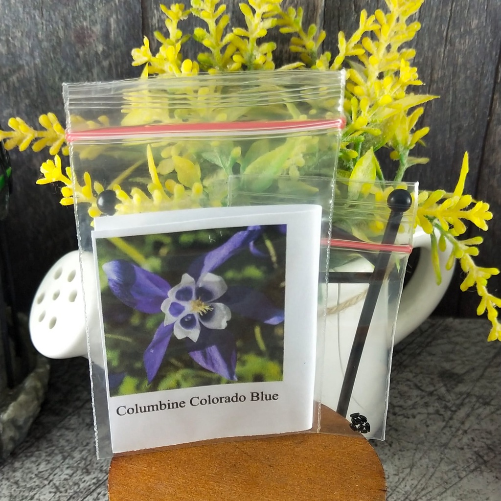 4 Seeds - Columbine Colorado Blue Biji Bunga - SR0217