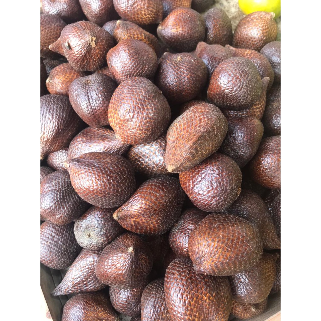 

Salak Pondoh ukuran besar