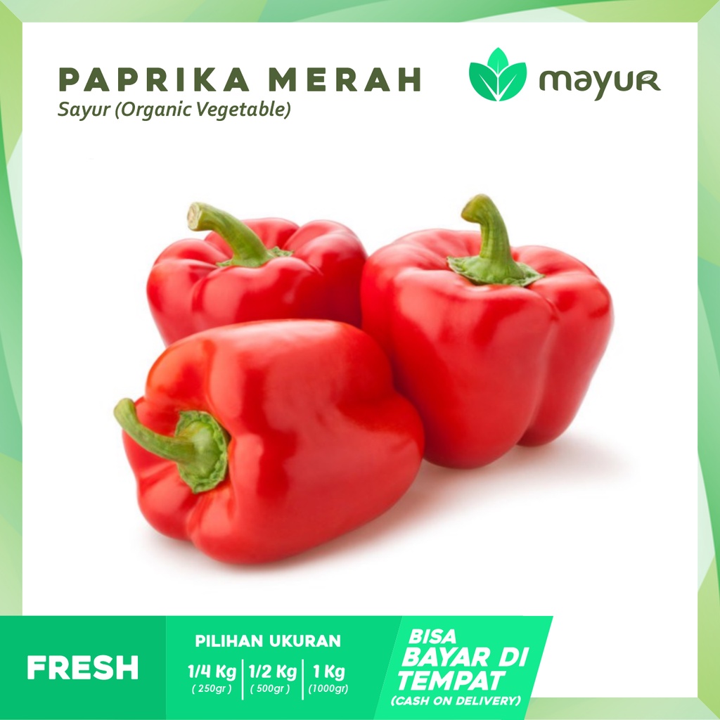 

Paprika Merah Segar ( 250gr | 500gr | 1kg )