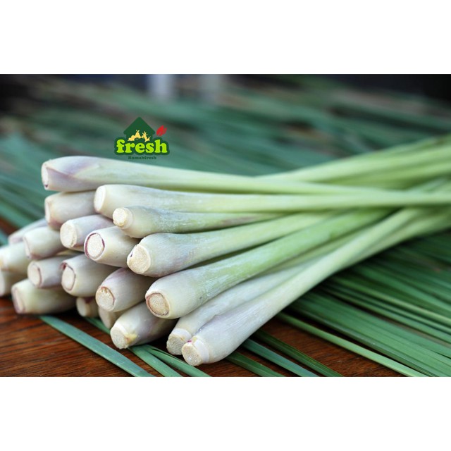 

1 ikat SEREH - CYMBOPOGON best in town