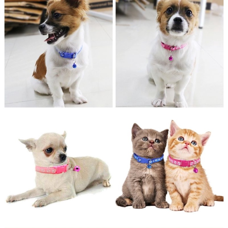 Kalung Kitten Lonceng Kecil Kalung Pet Kucing Anjing Kelinci Collar