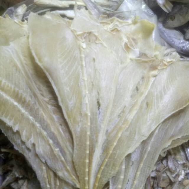 

Ikan Pari Burung 500gr