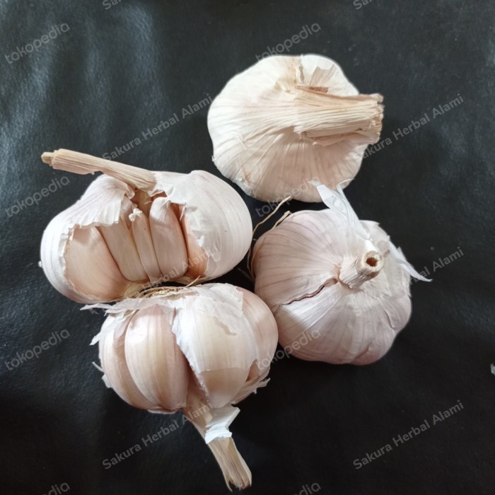 

[New] 500gram bawang putih segar