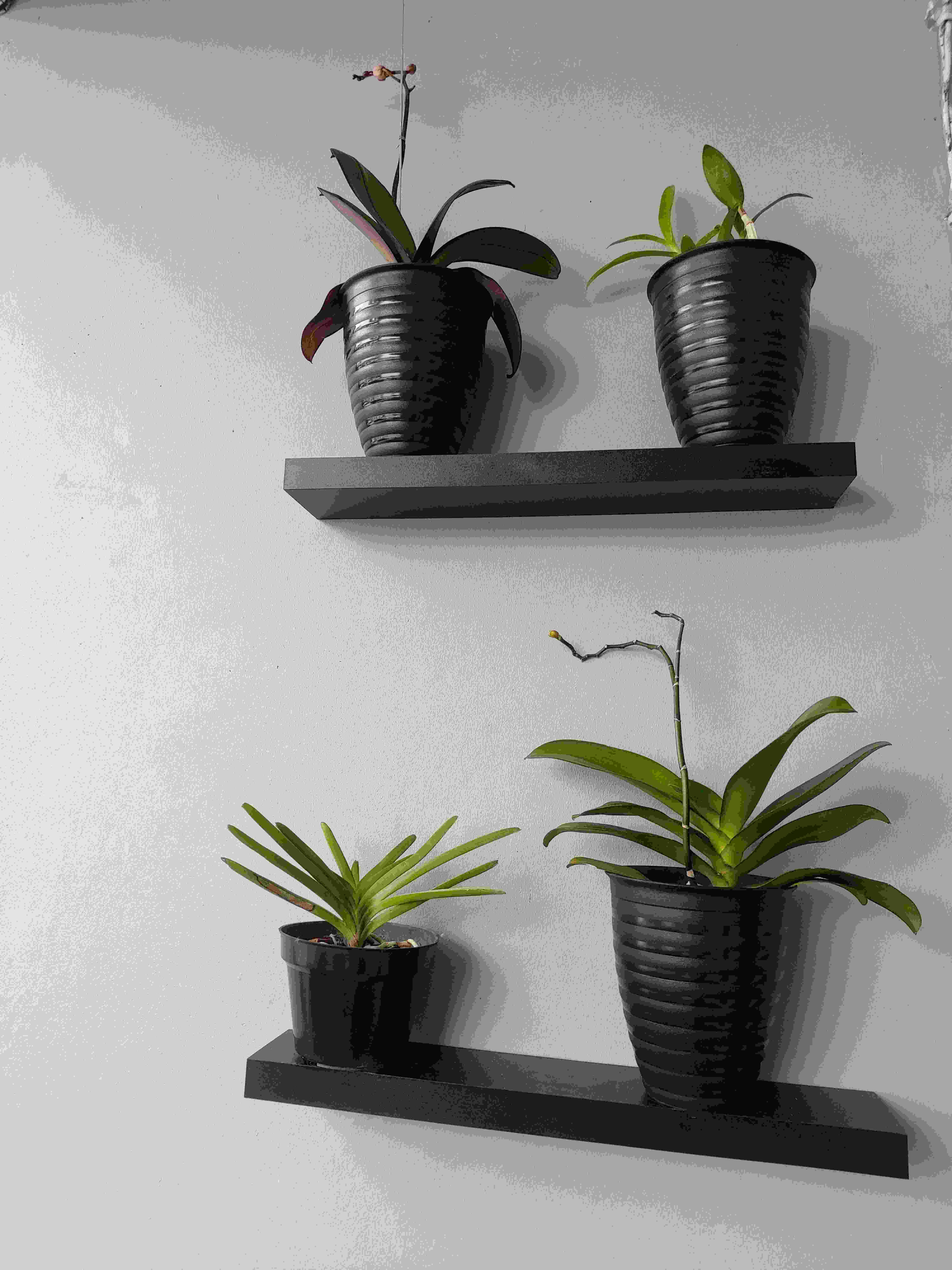 Set Rak Ambalan Dinding Minimalis 3 Pcs Uk. 30,40,60 Cm