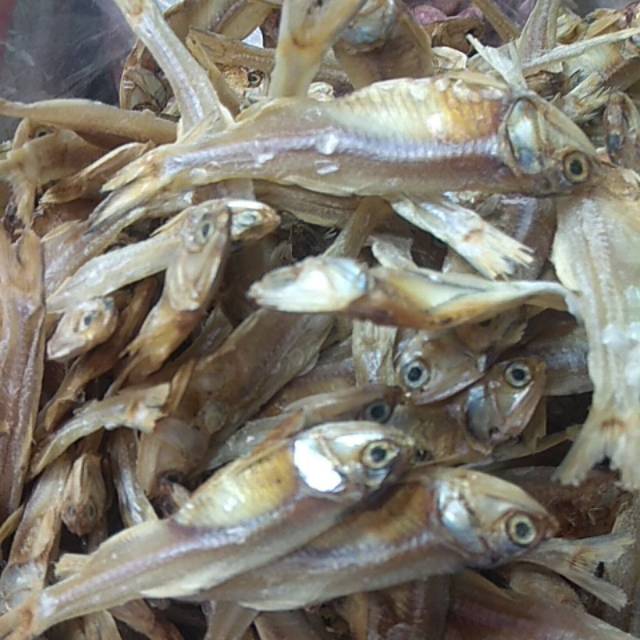 

Ikan tawar padang ukuran jumbo, berat 250 gram