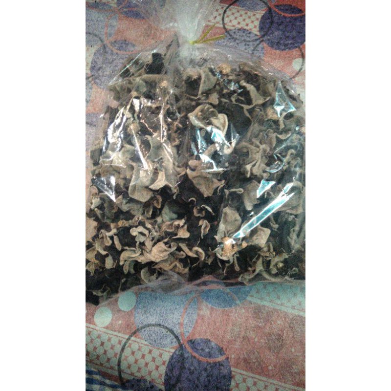 

Jamur Kuping Kering