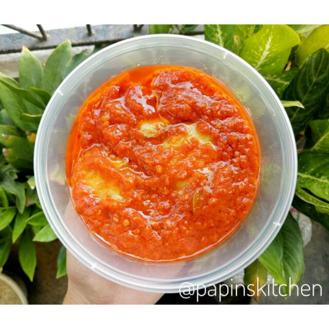 

JENGKOL BALADO