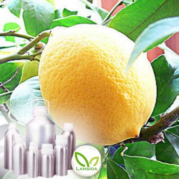 Lemon Essential Oil Minyak Atsiri Kulit Jeruk Lemon Citrus Limon
