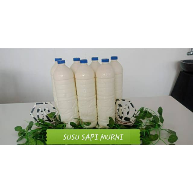 

SUSU SAPI MURNI