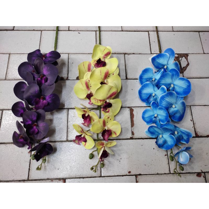 ANGGREK LATEX/ BUNGA ANGGREK LATEX