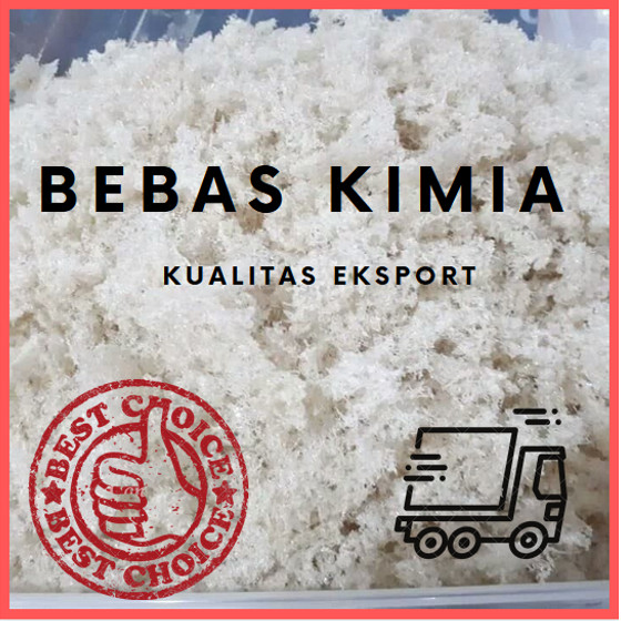

Kkeanashop Jual - Sarang Walet Lucky Hancuran 100Gr - Bebas Bahan Kimia