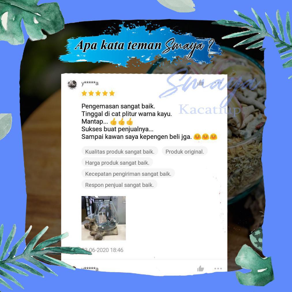 Diskon Aquarium Akuarium Mini Ikan Cupang Hias Akrilik Kaca Bulat Kayu Unik | Soliter Ikan Cupang