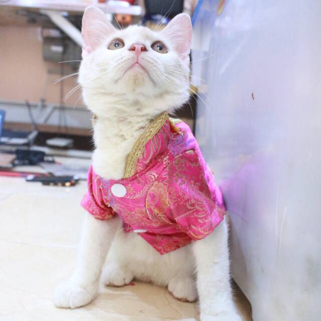 Kemeja chongsam lucu untuk kucing dan anjing imlek 2019 size S M L XL