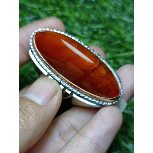 pandan merah sisik betok