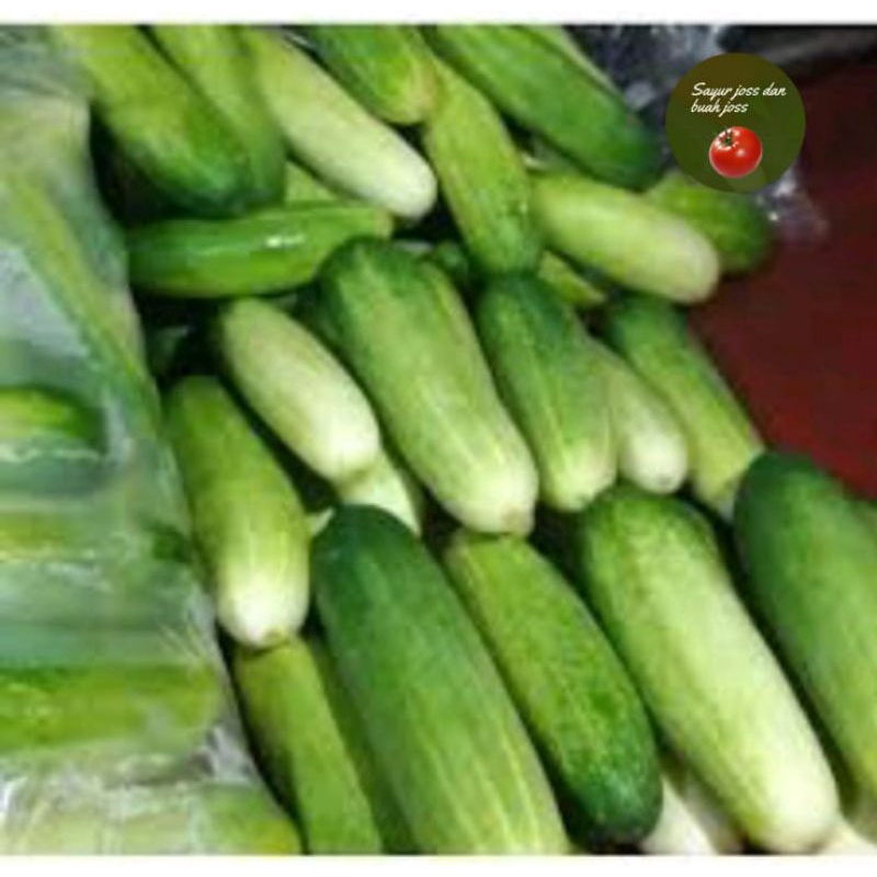 

timun lokal segar 500gr