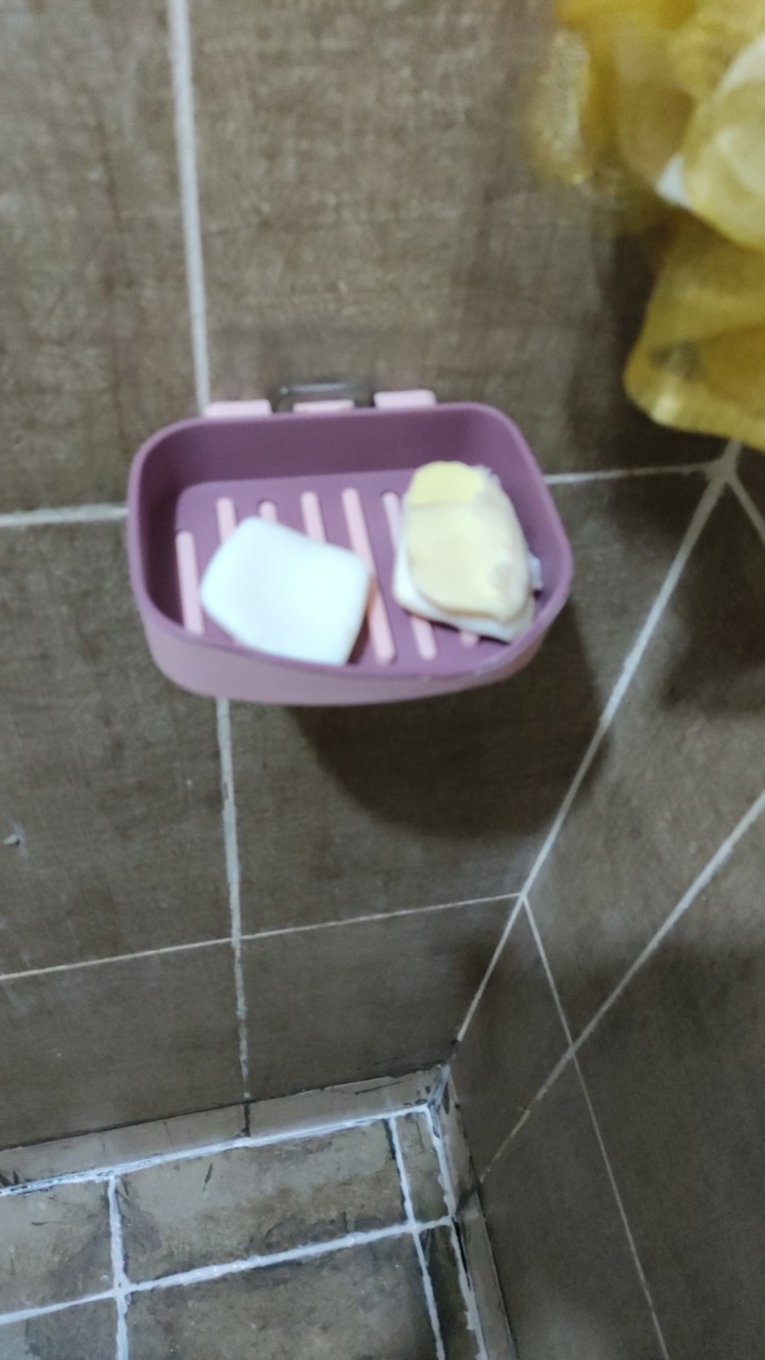 Sesebi Tempat Sabun Batang Rekat Dinding Berkualitas Murah