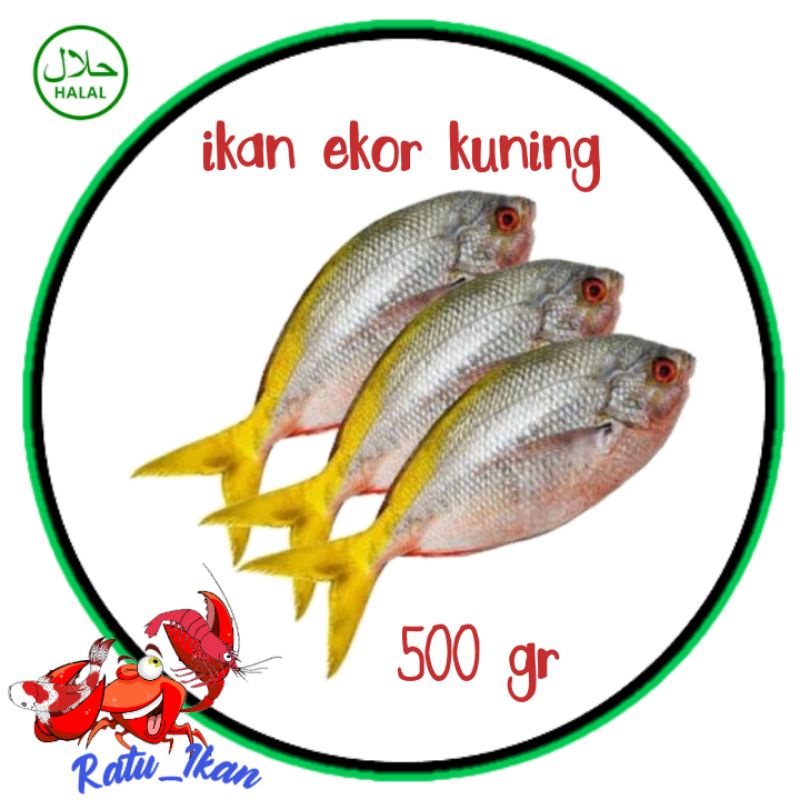 

ikan ekor kuning [500gram] ratu ikan