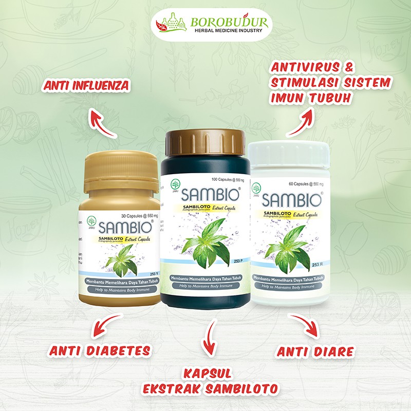 SAMBIO (Ekstrak Daun Sambiloto) KEMASAN 100 KAPSUL - BOROBUDUR HERBAL