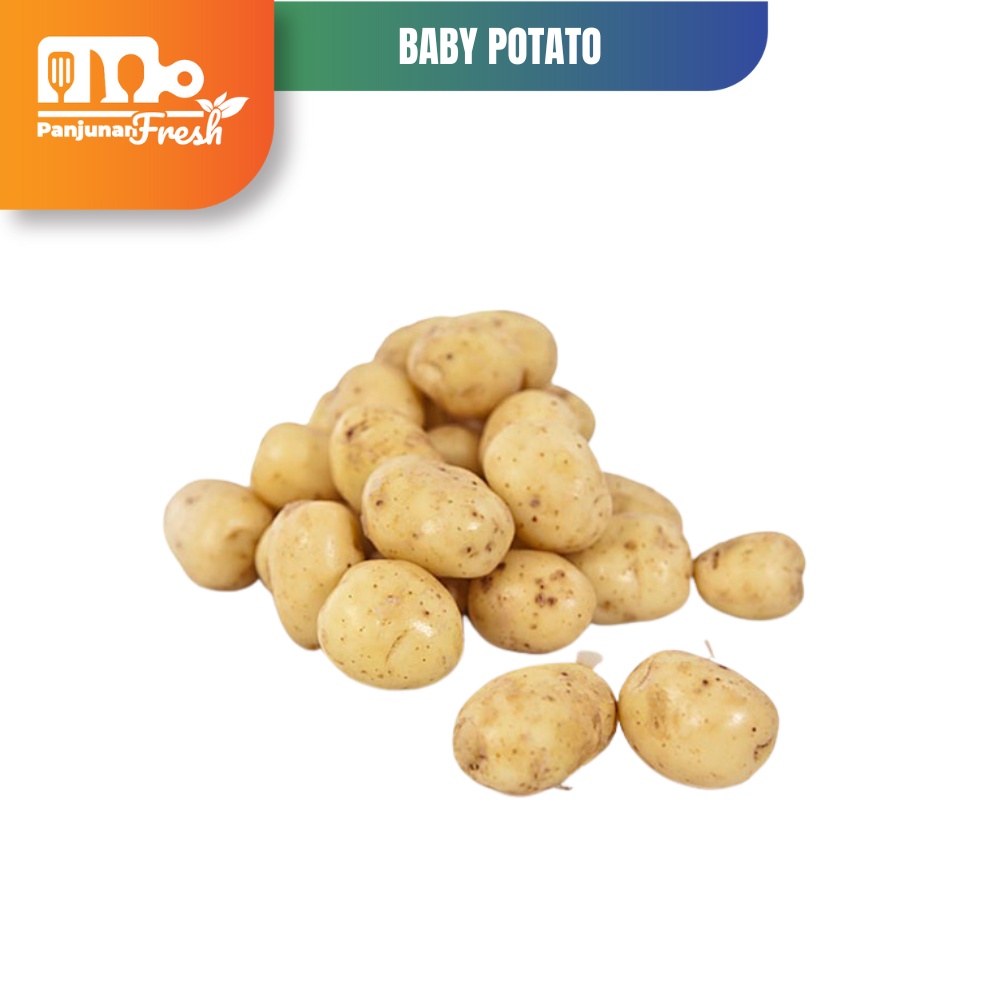 

Kentang Rendang / Baby Potato 500gr Kentang Baby kentang kecil mini