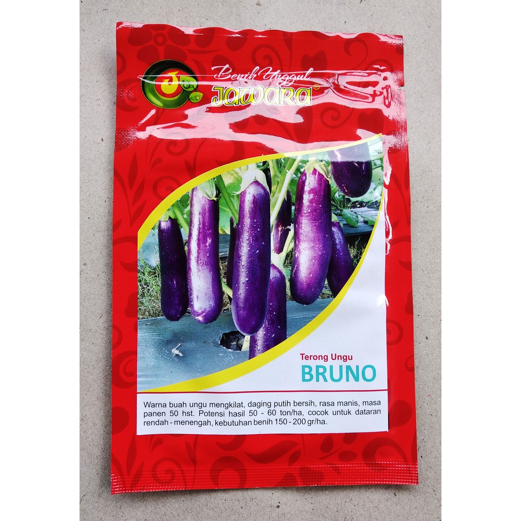 TERONG BRUNO PACK 10 GRAM Benih Terong Ungu BRUNO Jawara bibit tanaman sayur sayuran unggulan ± 2500 biji