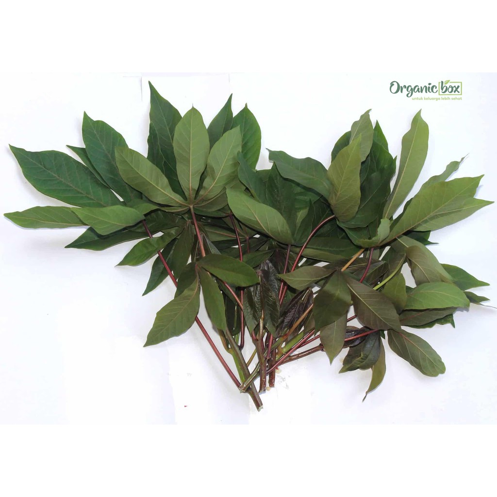 

Daun Singkong Organik 250gr