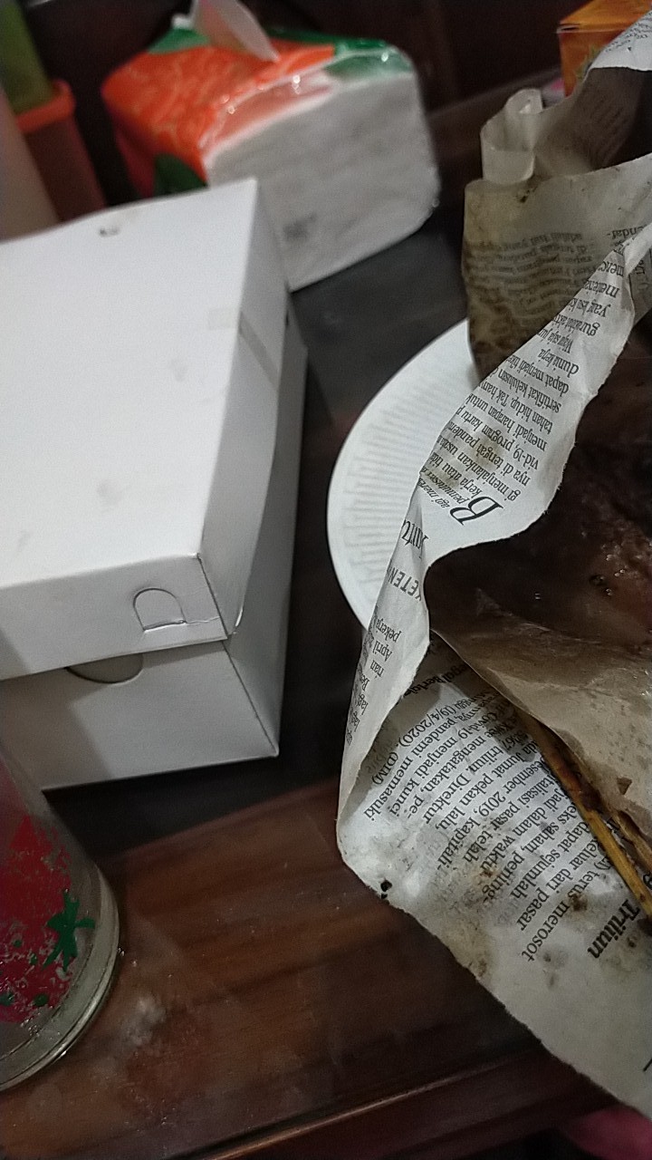 Sukulen Dan Kaktus Mini (notocactus Magnificus / Parodia Magnifica)