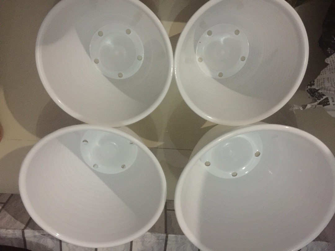 Pot Bunga Plastik Tawon 22 Cm Putih