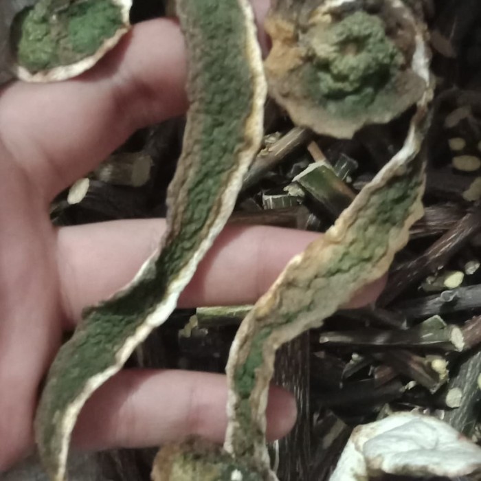 

Kulit Buah Jeruk Purut / Jeruk Bumbu 1kg Kering