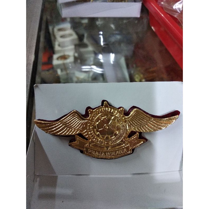 

wing Satpol-PP acrylic