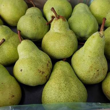 Pear Hijau / Packam Buah Segar Bandung