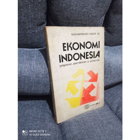 Buku Ekonomi Indonesia Soeharsono Sagir