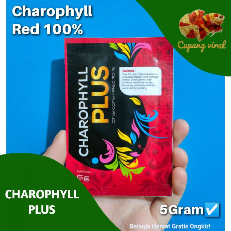 Charopyll Plus 5Gram - Charopyl Red