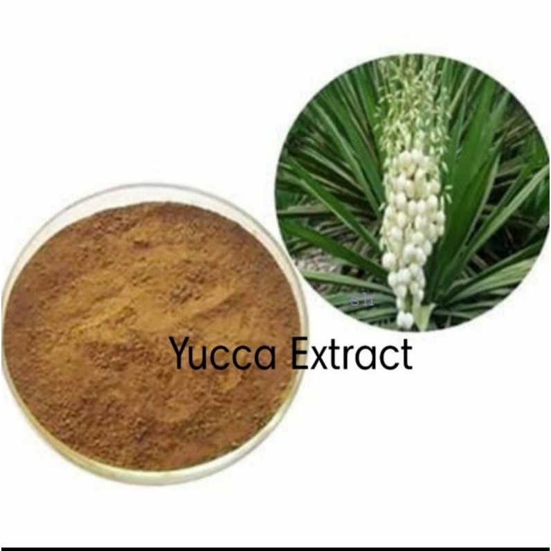 Yucca Extract Powder 10 g / Anti Aging Agent