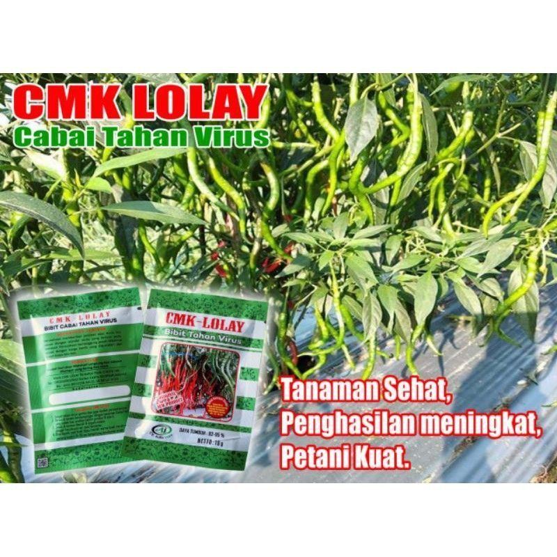Benih Cabe Keriting Cmk Lolay Unggul Kemasan 10gr
