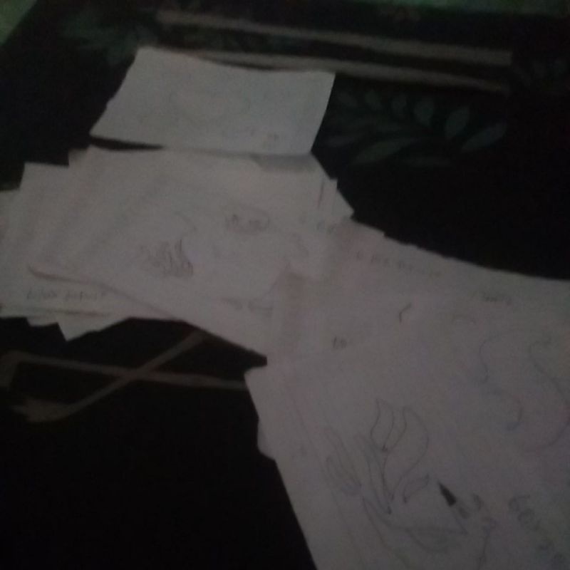 

gambar bagus blox fruit baca deskripsi