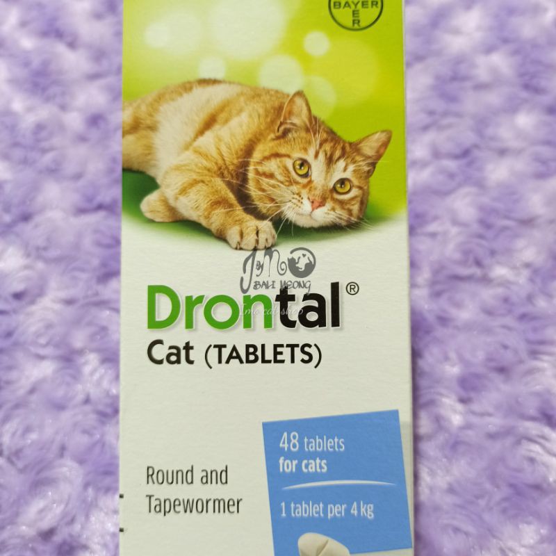 Drontal cat obat cacing kucing