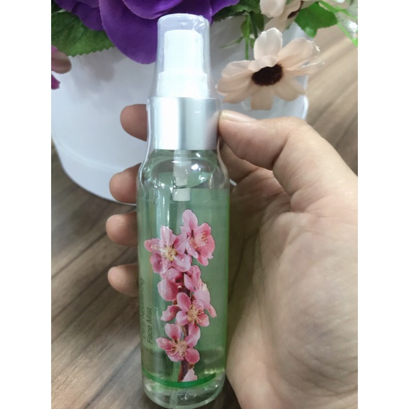 Facemist aloe vera Natur-E 90 ml spray