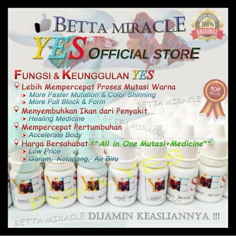 OBAT MEMPERCEPAT MUTASI WARNA IKAN CUPANG