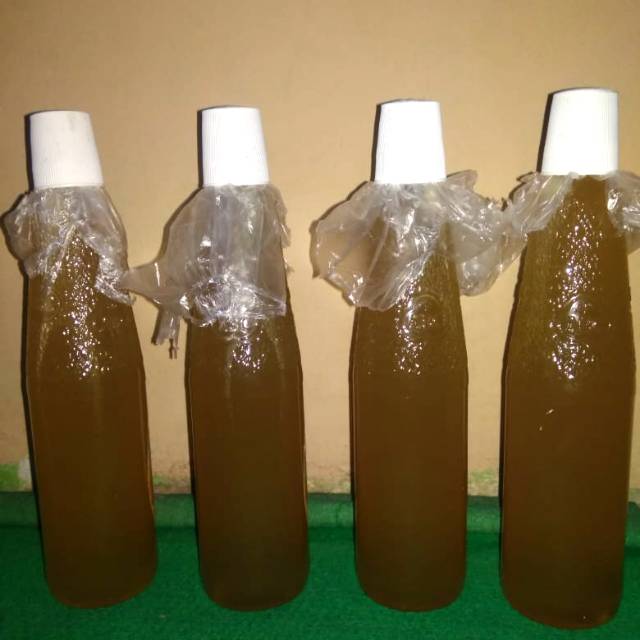 

MADU HUTAN ASLI 10000% MURAH BERKUALITAS TINGGI