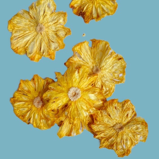 

Fatias Secas - Dried Pinapple / Nanas Kering / Garnish Nanas 100 grams