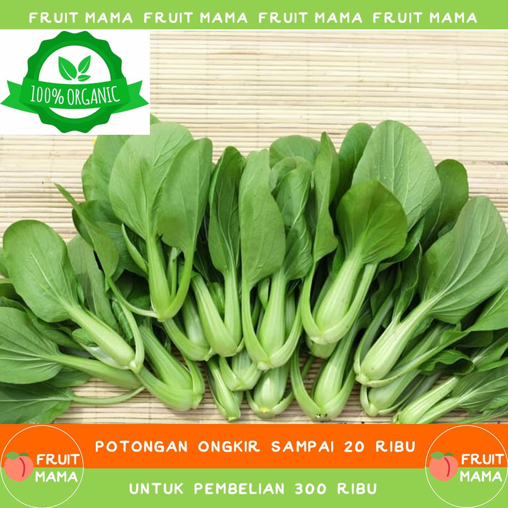 

PAKCOY Organik 250 Gram| Fruit Mama | Buah Impor & Sayur Organik