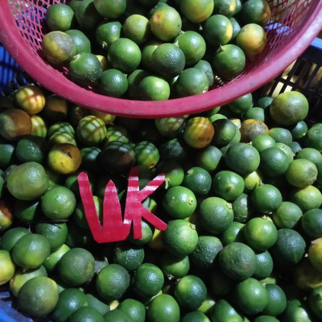 

Jeruk Sonkit Lemon Cui