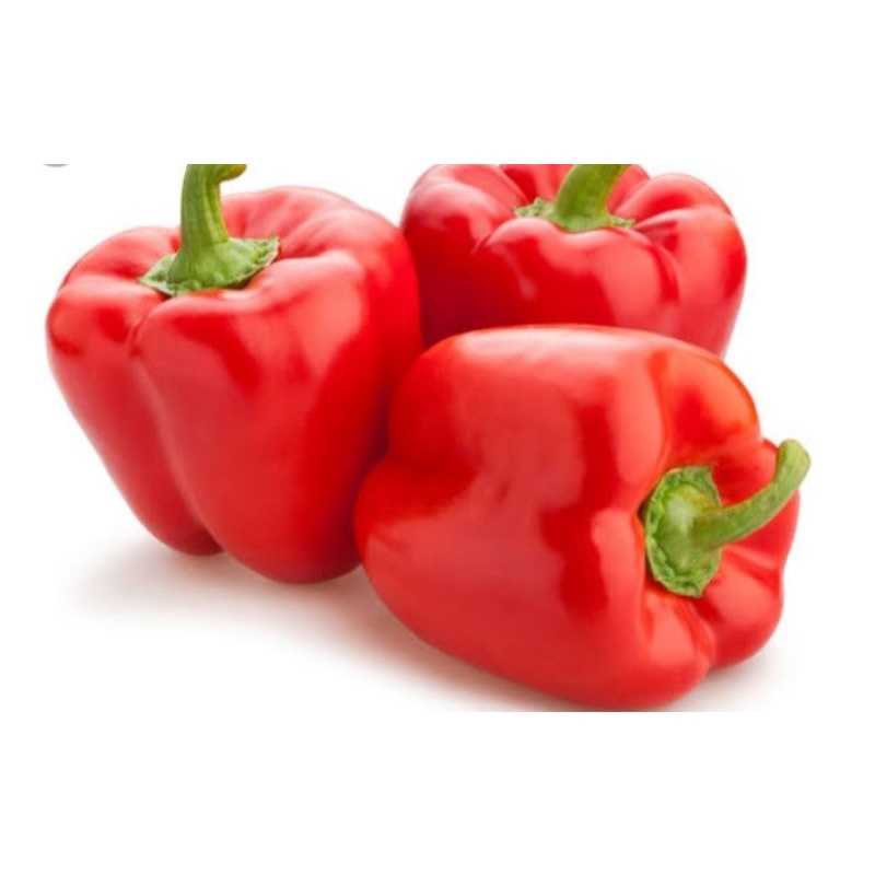 

paprika merah perbuah