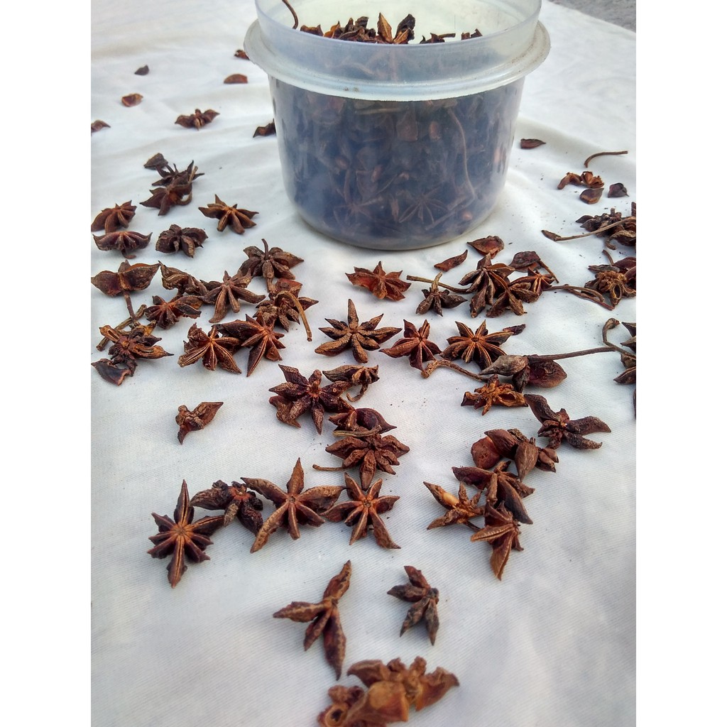 

Bunga lawang/pekak herbal bumbu dapur 100gr