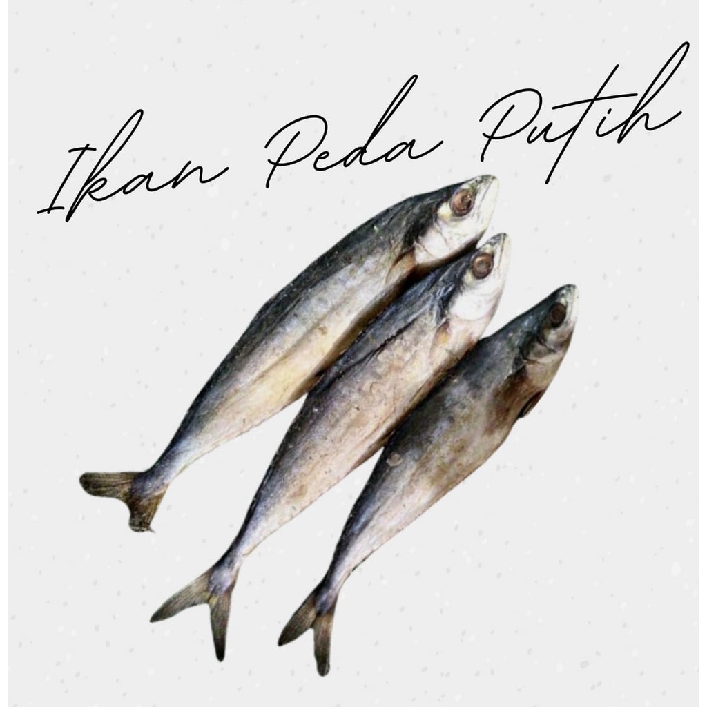 

Ikan Peda Putih