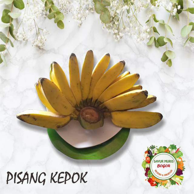 

PISANG KEPOK MURAH / SISIR