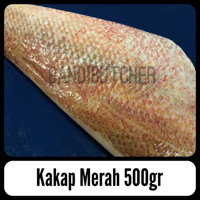 Fillet Kakap Merah / Ikan Kakap Merah Fillet Segar Size Super Murah Bandi Fish