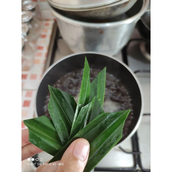 

Daun Pandan (20gr) Segar Harum Berkualitas