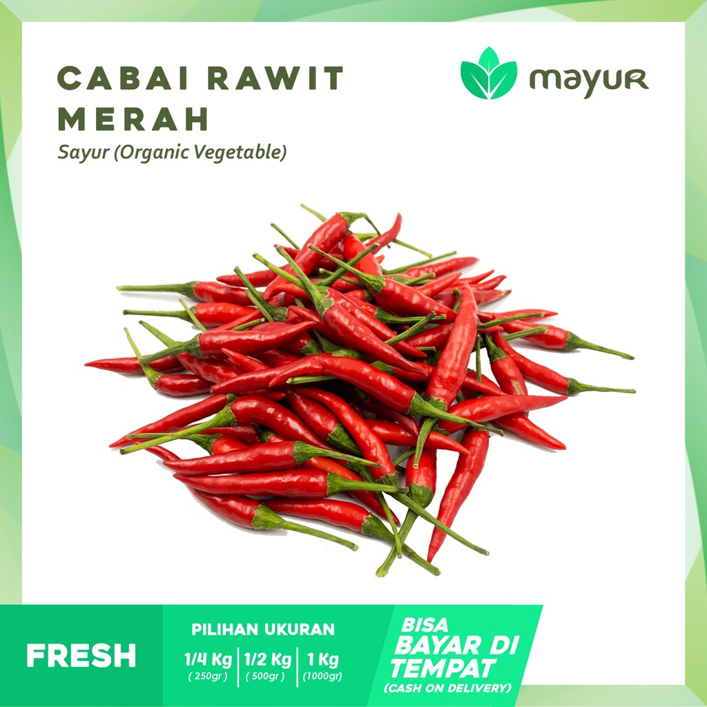 

Cabai Rawit Merah ( 1/4 kg | 1/2 kg | 1 kg )