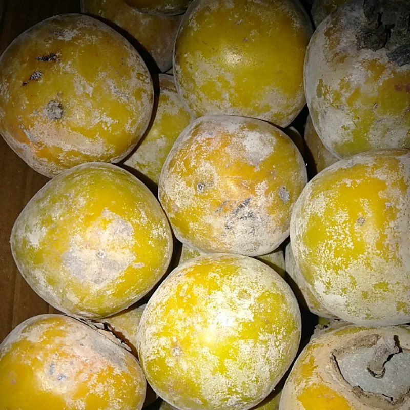 

Kesemek manis buah genit kilogram minim order 2 kilogram @ kilogram